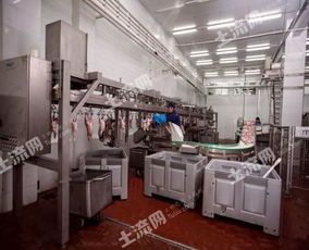 俄罗斯38250平方米现代化肉类加工厂转让，融合网络技术开发新机遇