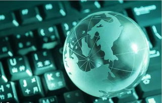 信息技术与网络技术开发 定义、交叉与实践